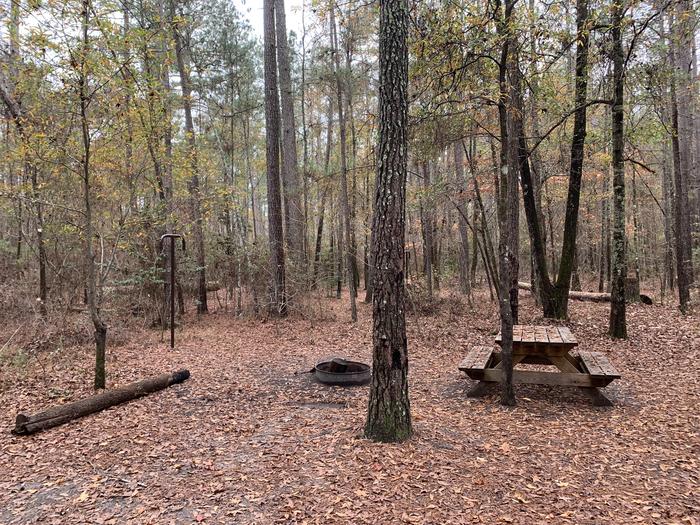 A photo of Site IS10 of Loop Longleaf at Longleaf Campground with Picnic Table, Fire Pit, Shade, Lantern Pole