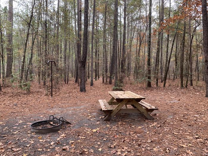 A photo of Site IS06 of Loop Longleaf at Longleaf Campground with Picnic Table, Fire Pit, Shade, Lantern Pole