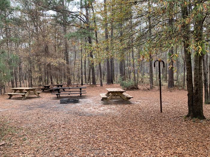 A photo of Site GS04 of Loop Longleaf at Longleaf Campground with Picnic Table, Fire Pit, Shade, Lantern Pole