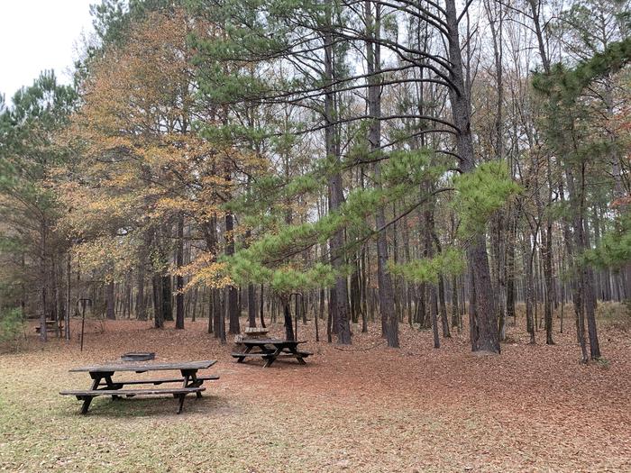 A photo of Site GS03 of Loop Longleaf at Longleaf Campground with Picnic Table, Fire Pit, Shade, Lantern Pole