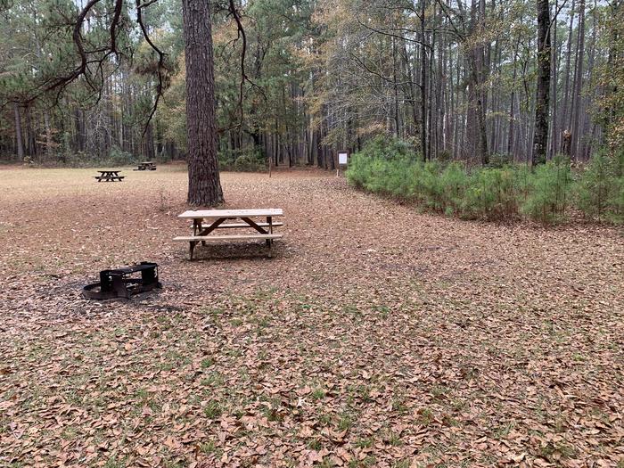 A photo of Site 01 of Loop Bluff Hike-in at Bluff Hike In Camping with Picnic Table, Fire Pit
