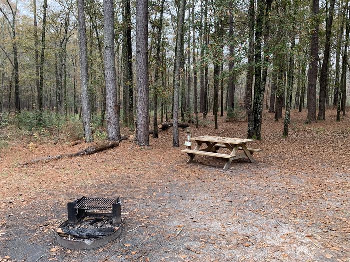 A photo of Site 04 of Loop Bluff HIke-in at Bluff Hike In Camping with Picnic Table, Fire Pit, Shade