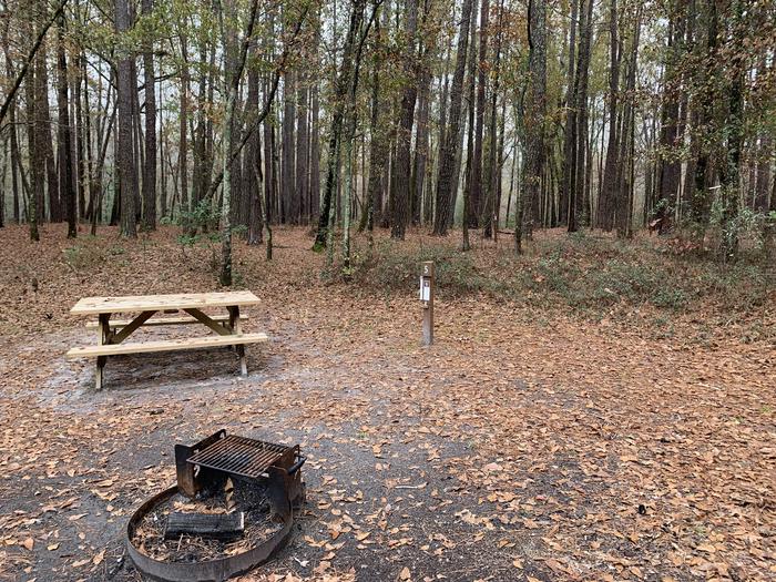 A photo of Site 05 of Loop Bluff Hike-in at Bluff Hike In Camping with Picnic Table, Fire Pit, Shade