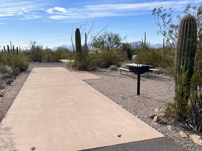 Pull-thru campsite with picnic table and grill, cactus and desert vegetation surround site.