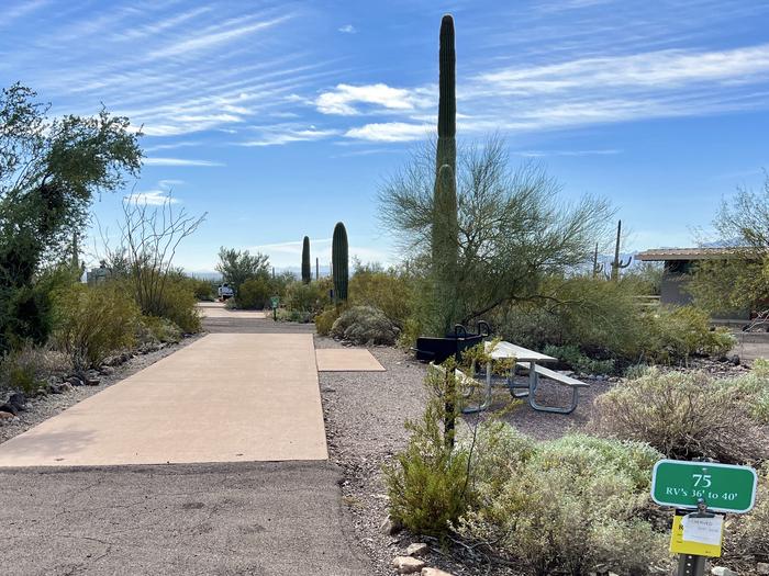 Pull-thru campsite with picnic table and grill, cactus and desert vegetation surround site.