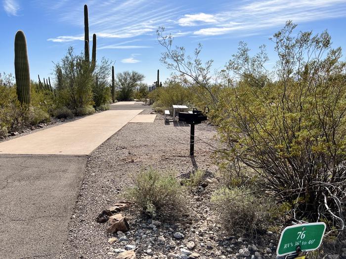 Pull-thru campsite with picnic table and grill, cactus and desert vegetation surround site.