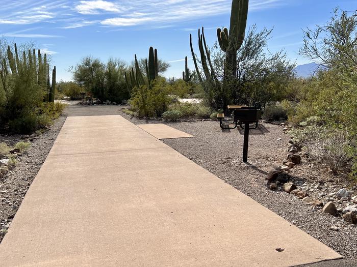 Pull-thru campsite with picnic table and grill, cactus and desert vegetation surround site.