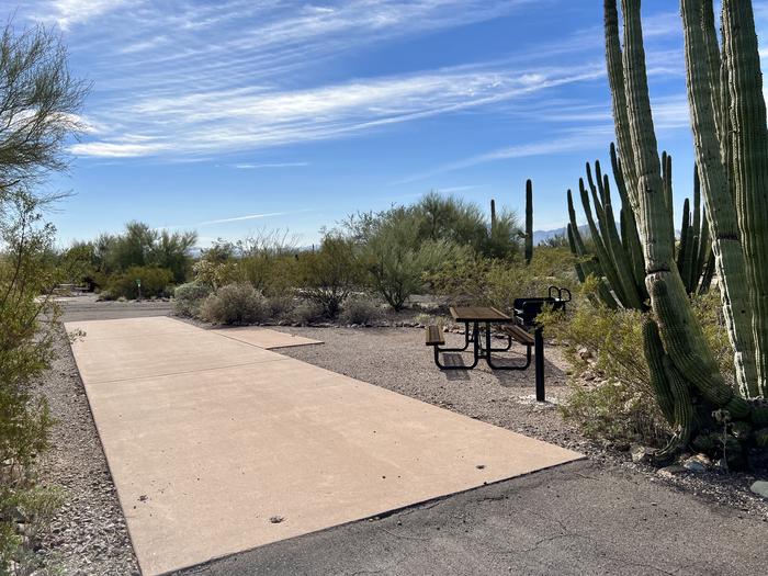 Pull-thru campsite with picnic table and grill, cactus and desert vegetation surround site.