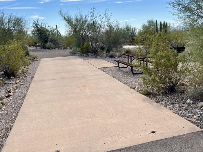 Pull-thru campsite with picnic table and grill, cactus and desert vegetation surround site.