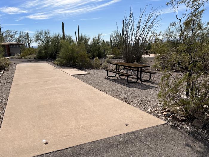 Pull-thru campsite with picnic table and grill, cactus and desert vegetation surround site.