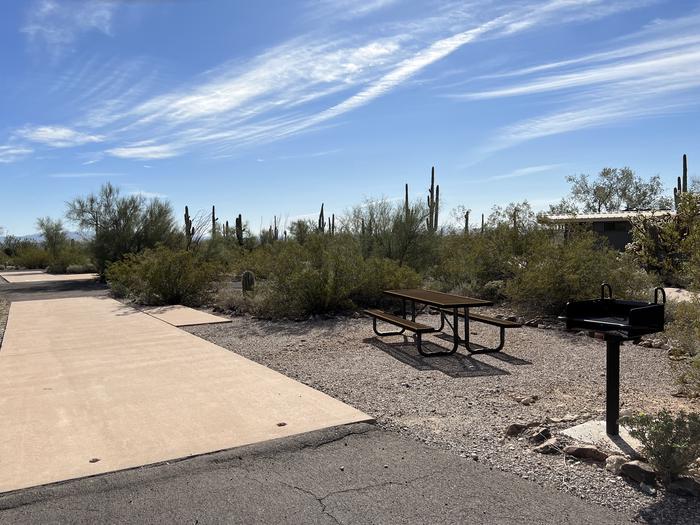 Pull-thru campsite with picnic table and grill, cactus and desert vegetation surround site.  The entrance of Site 084