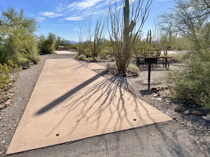 The driveway of the site with the picnic table and grill surrounded by desert plantsThe entrance into the site.