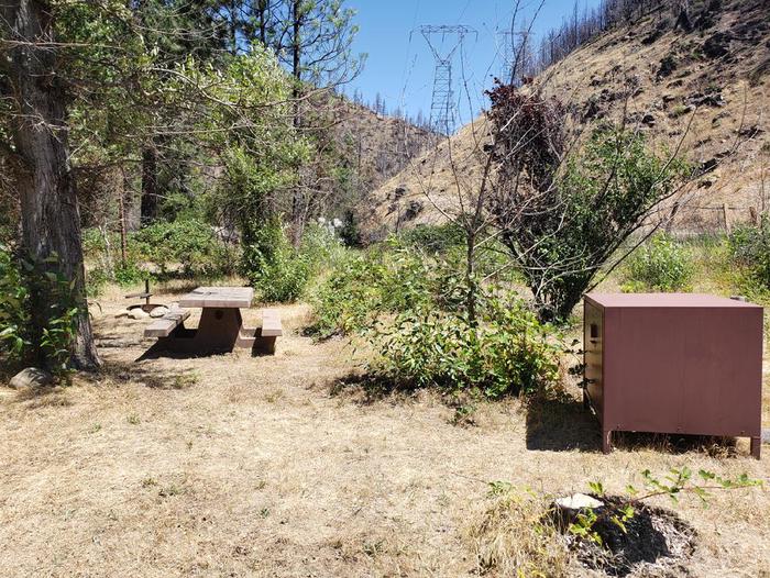 Sunny site featuring a picnic table, fire ring, and bear box.Gansner Bar Site 9