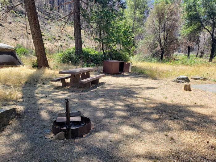 Spacious site featuring a picnic table, fire ring, and bear box.Gansner Bar Site 10