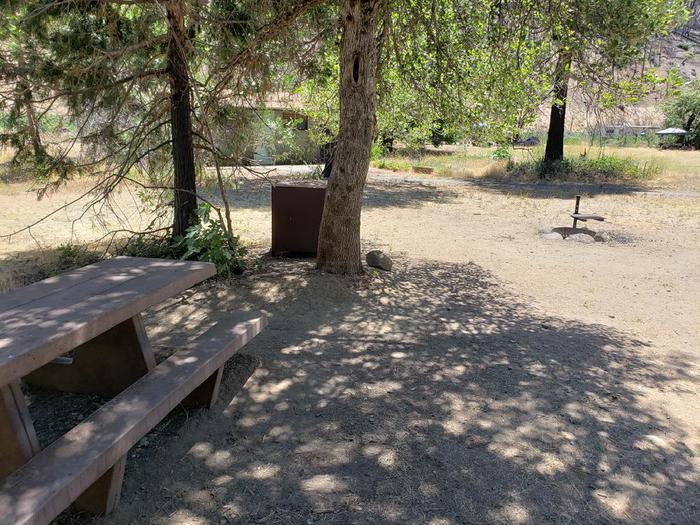 Shady site featuring a picnic table, fire ring, and bear box.Gansner Bar Site 12