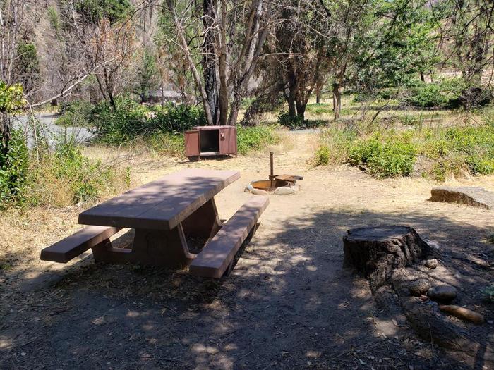 Shady site features a picnic table, fire ring, and bear box.Gansner Bar Site 14