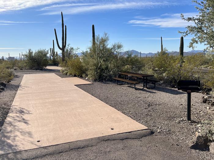 Pull-thru campsite with picnic table and grill, surrounded by cactus and desert vegetation.