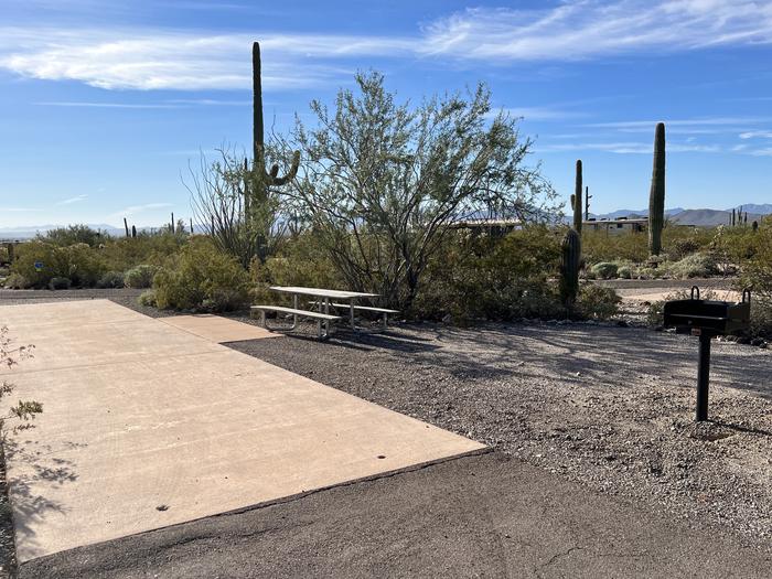 Pull-thru campsite with picnic table and grill, surrounded by cactus and desert vegetation.