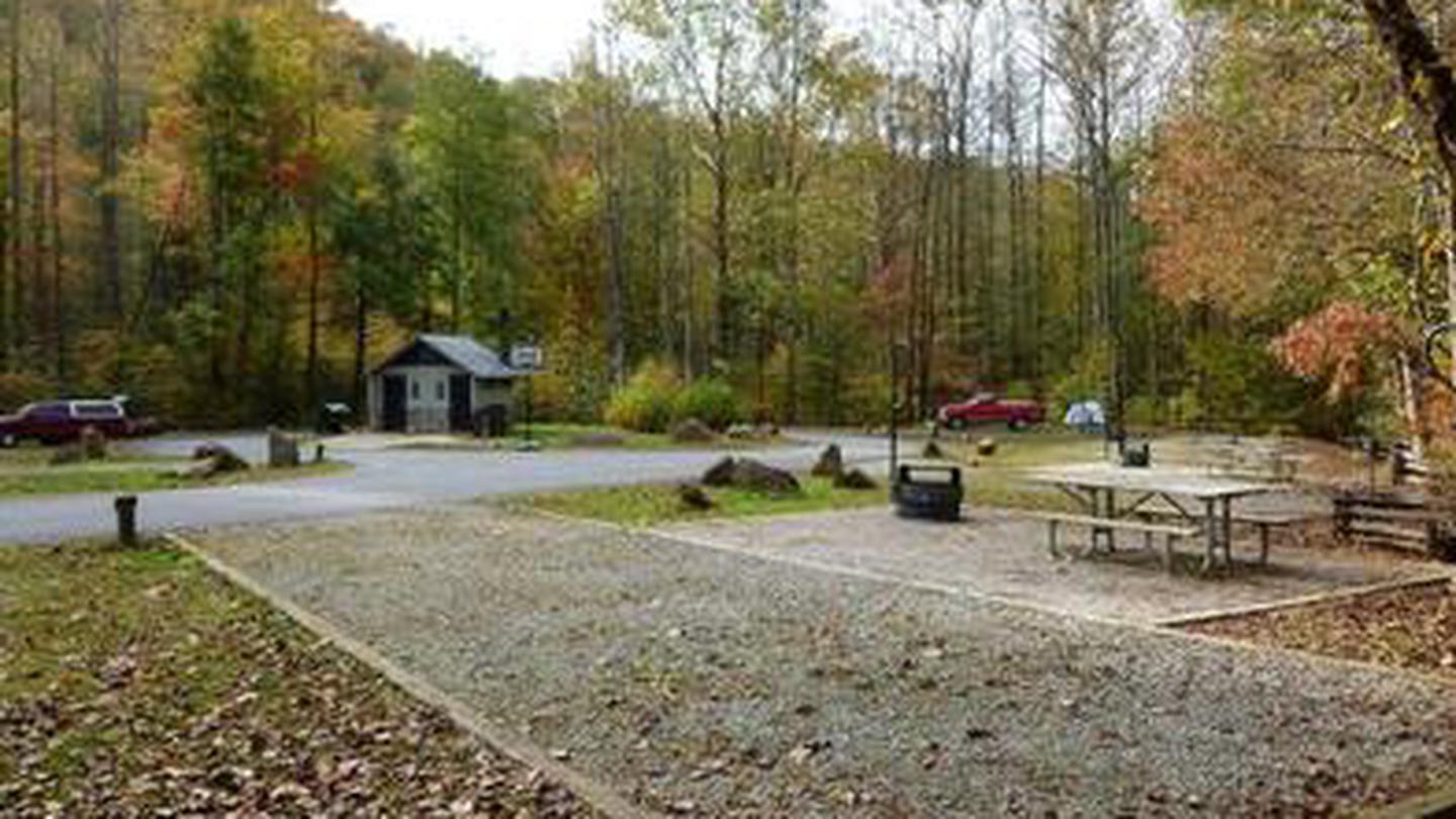 Gravel parking spur, picnic table, and fire pit at a campsite.Curtis Creek Campground (NC)