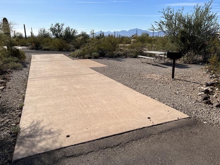 Pull-thru campsite with picnic table and grill, surrounded by cactus and desert vegetation.