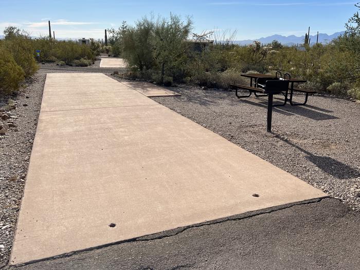 Pull-thru campsite with picnic table and grill, surrounded by cactus and desert vegetation.