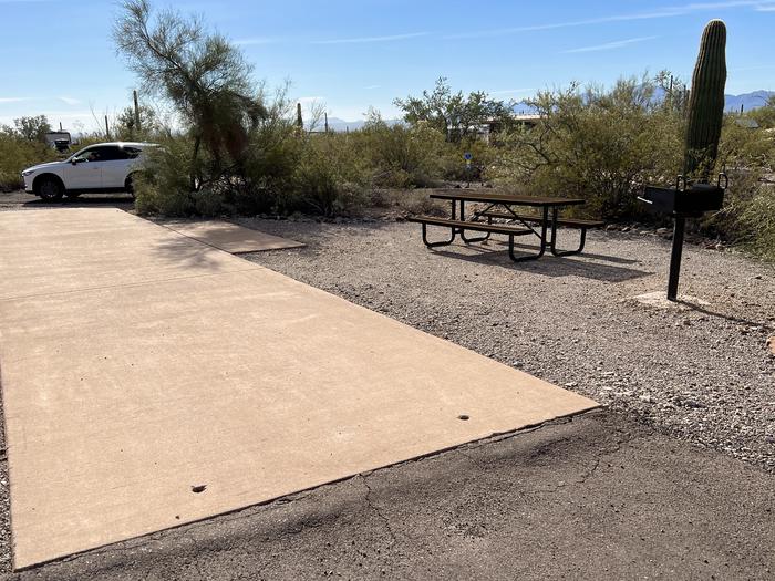 Pull-thru campsite with picnic table and grill, surrounded by cactus and desert vegetation.