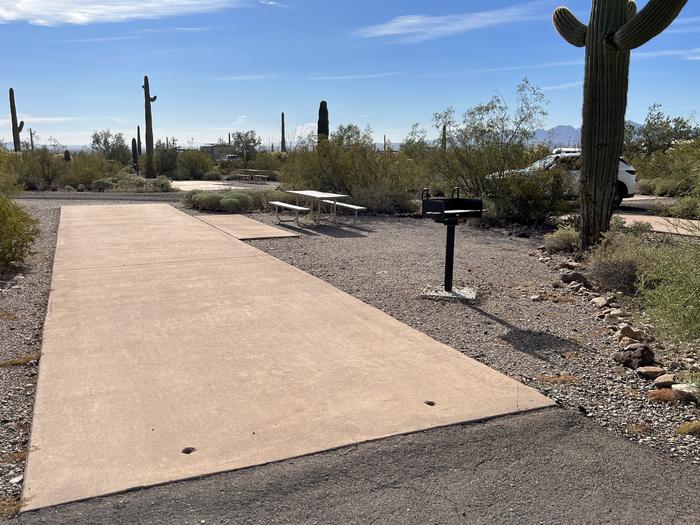 Pull-thru campsite with picnic table and grill, surrounded by cactus and desert vegetation.