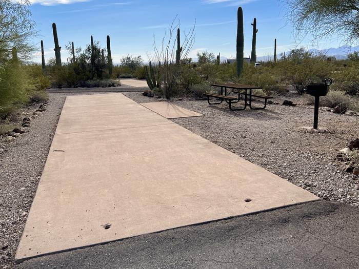 Pull-thru campsite with picnic table and grill, surrounded by cactus and desert vegetation.