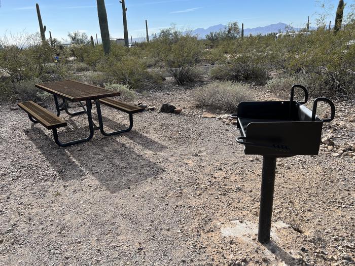 The picnic table of the site and grill surrounded by desert plants.Each site has a picnic table and grill