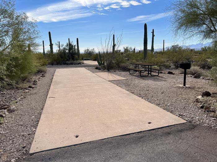 The driveway of the site with the picnic table and grill surrounded by desert plantsThe entrance into the site.
