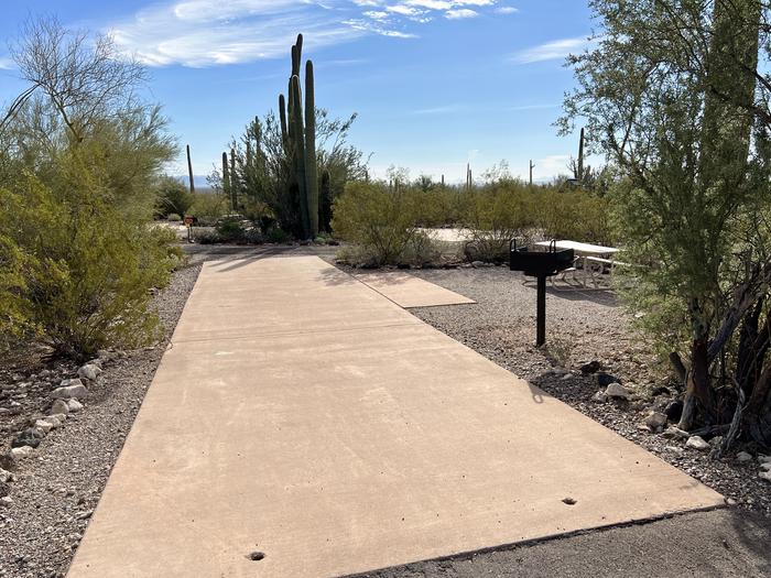 Pull-thru campsite with picnic table and grill, surrounded by cactus and desert vegetation.