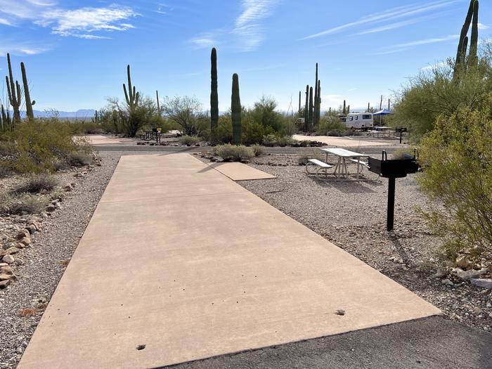 Pull-thru campsite with picnic table and grill, surrounded by cactus and desert vegetation.