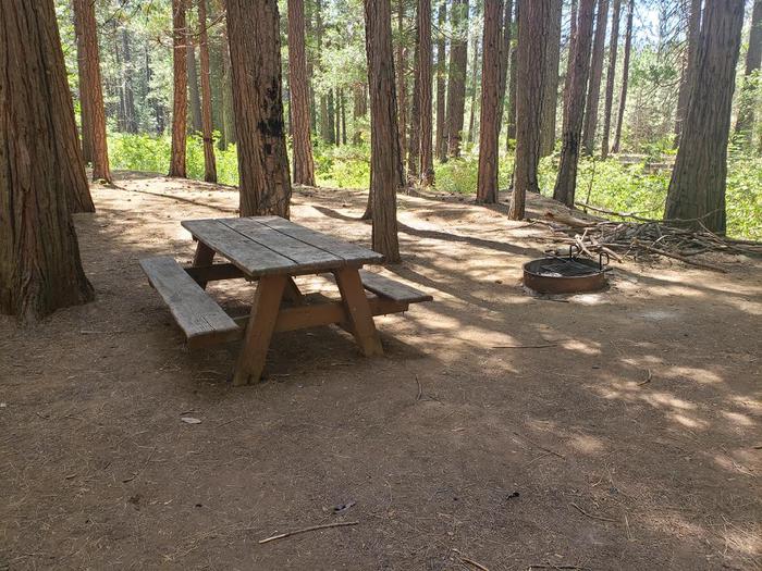 Shady site featuring a picnic table and fire ring.Greenville Site 1