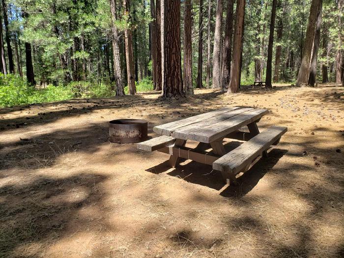 Spacious site that features a picnic table and fire ring.Greenville Site 2