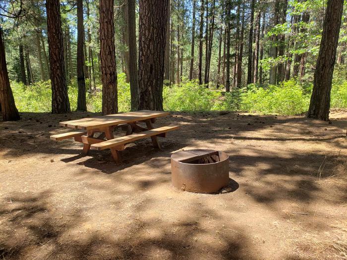 Shady site that features a picnic table and fire ring.Greenville Site 4 