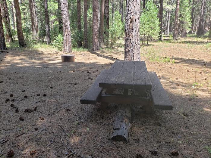 Shady site that features a picnic table and fire ring.Greenville Site 5