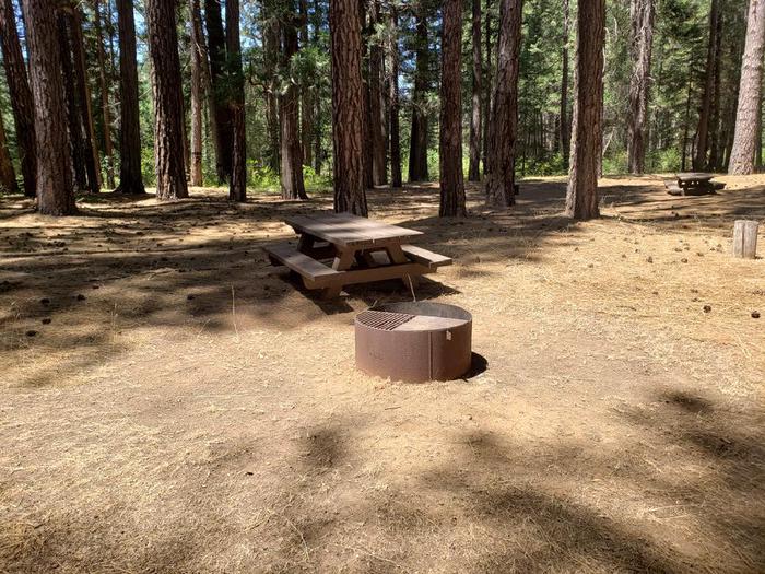 Spacious site that features a picnic table and fire ring.Greenville Site 6