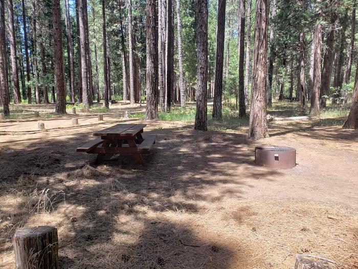 Shady site that features a picnic table and fire ring.Greenville Site 7 Driveway