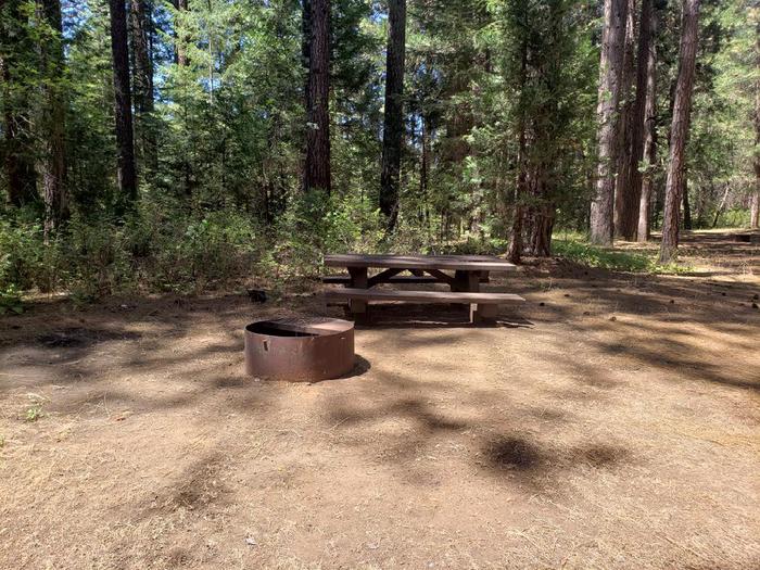 Shady site that features a picnic table and fire ring.Greenville Site 8