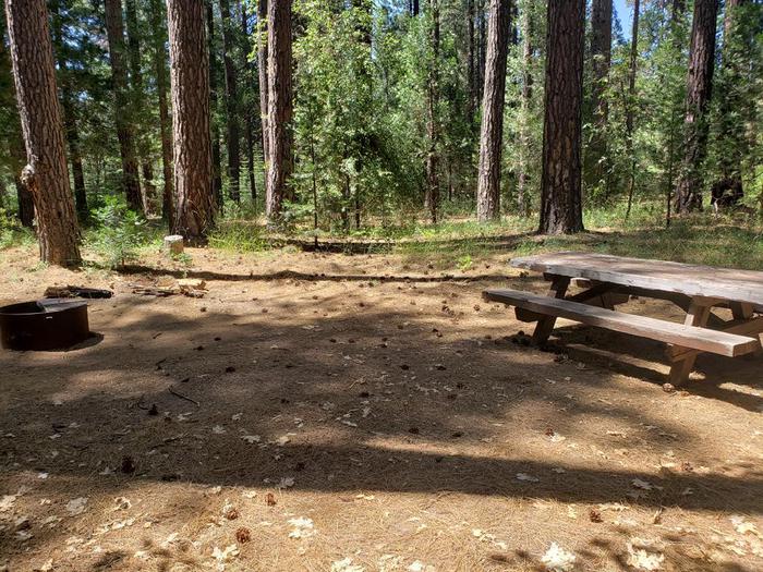Shady site that features a picnic table and fire ring.Greenville Site 9