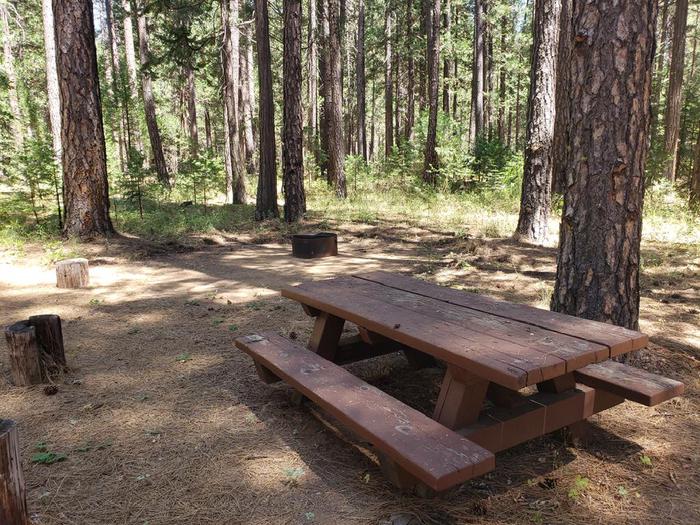 Shady site that features a picnic table and fire ring.Greenville Site 10