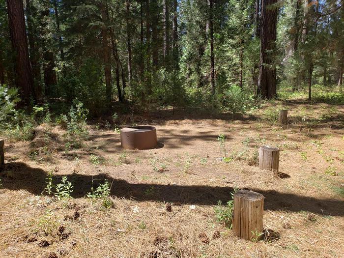 Spacious site that features a picnic table and fire ring.Greenville Site 11