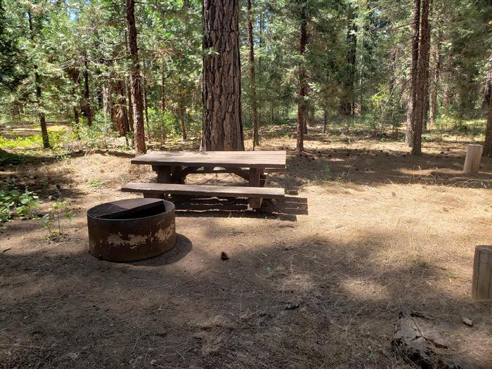 Shady site that features a picnic table and fire ring.Greenville Site 12