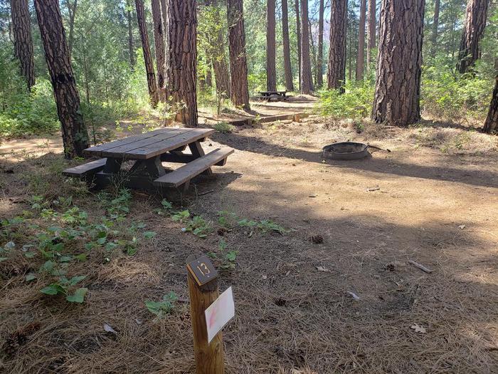 Shady site that features a picnic table and fire ring.Greenville Site 13