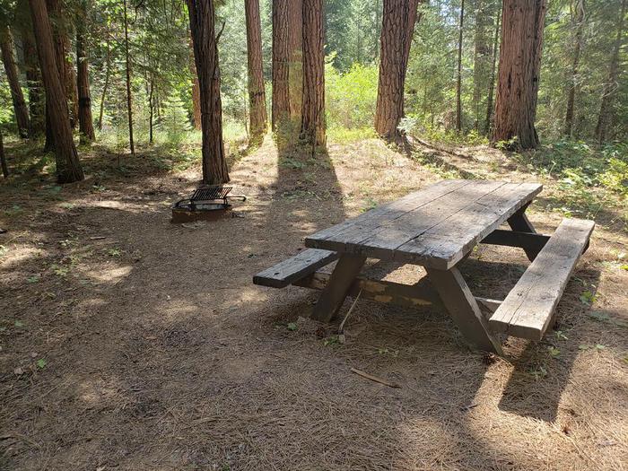 Shady site that features a picnic table and fire ring.Greenville Site 16