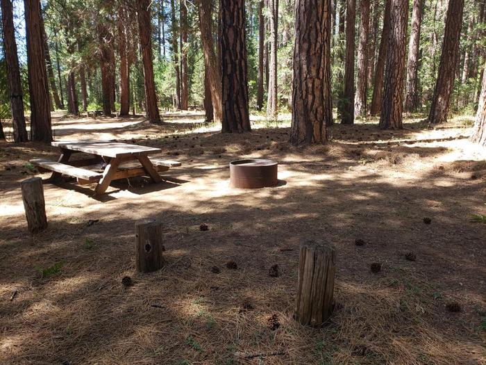 Shady site that features a picnic table and fire ring.Greenville Site 17