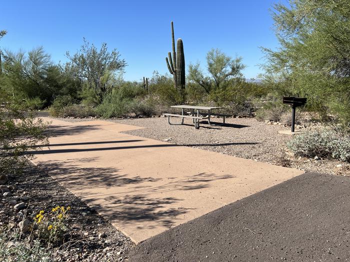 The picnic table of the site and grill surrounded by desert plants.Each site has a picnic table and grill and is surrounded by cacti and other desert plants.