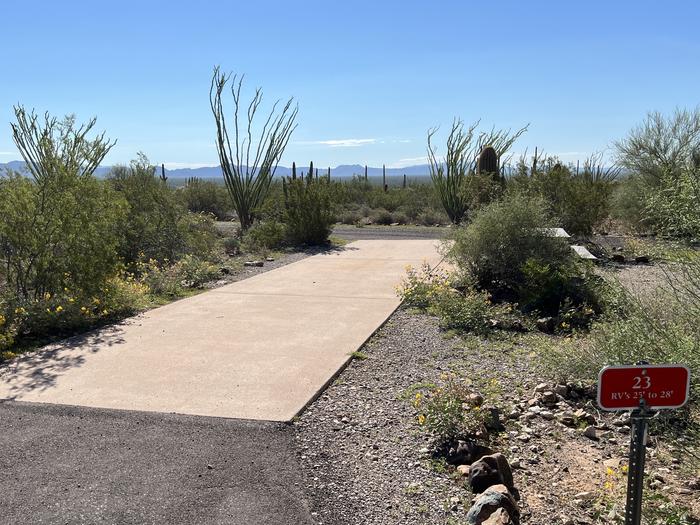 The driveway of the site with the picnic table and grill surrounded by desert plantsThe entrance into site 23.