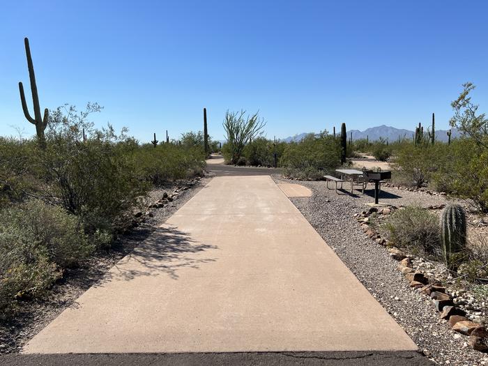 The driveway of the site with the picnic table and grill surrounded by desert plantsThe entrance into site 24.