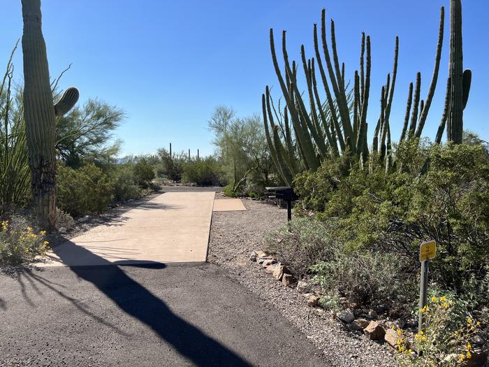 The driveway of the site with the picnic table and grill surrounded by desert plantsEach campsite is marked by a placard to easily identify which site it is.